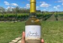 Rota do Vinho da Chapada Diamantina desperta interesse de profissionais do turismo, no Paraná e em São Paulo