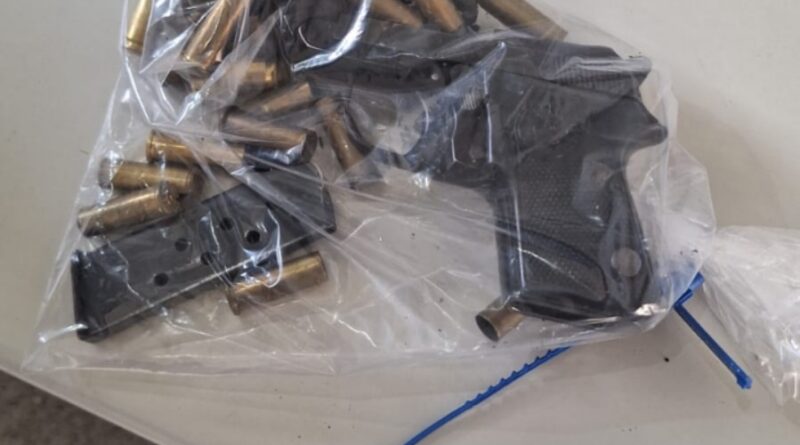 Forças de segurança desarticulam organização criminosa em Utinga e apreendem armas, drogas e plantação de maconha