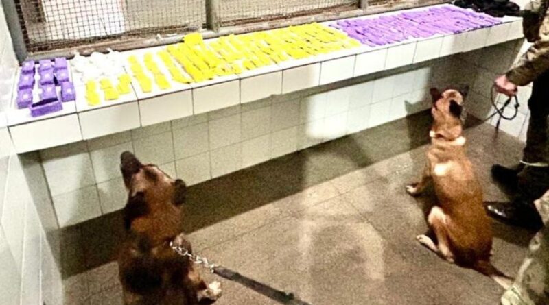 CIPE Chapada apreende drogas em ônibus durante Operação Carnaval em Itaberaba