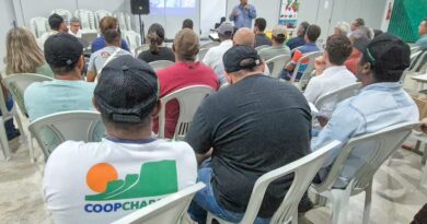 Seagri promove circuito itinerante e fortalece produção de mirtilo na Chapada Diamantina