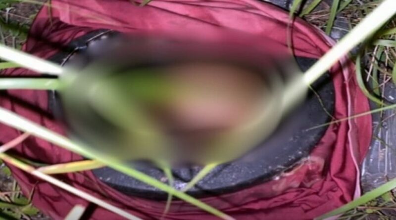 Crânio humano é encontrado dentro de panela de pressão em Ipirá, na Bahia