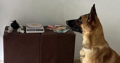 CIPE Chapada realiza apreensão de entorpecentes em Ruy Barbosa na Chapada Diamantina