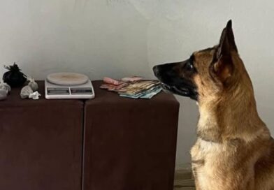 CIPE Chapada realiza apreensão de entorpecentes em Ruy Barbosa na Chapada Diamantina