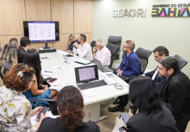 Seagri e bancos discutem ações de ampliação ao crédito rural para produtores baianos